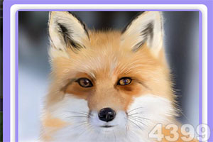 金融圈噩耗!国通信托党委书记、董事长汤建,不幸去世